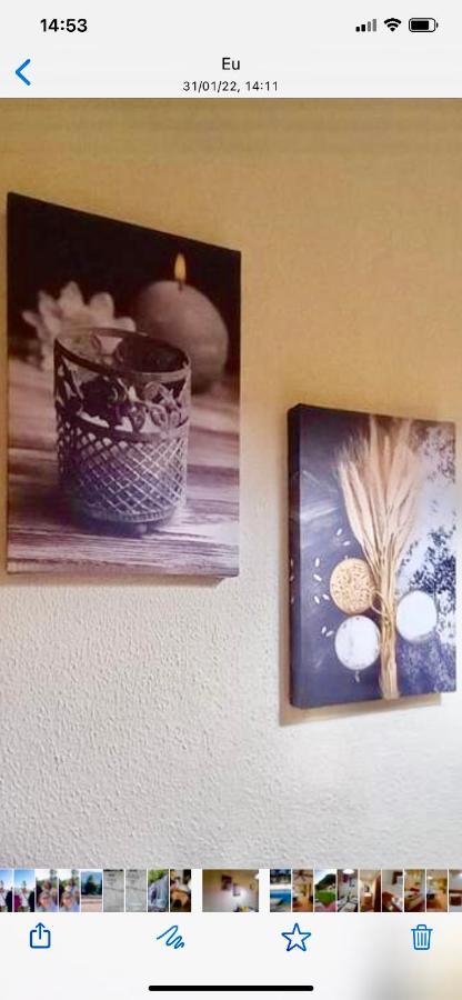 Aldeia Das Acoteias Villages 阿尔布费拉 外观 照片